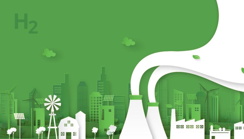 New green hydrogen policy