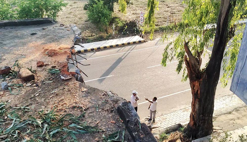 Satish Kumar's house damaged by white tree