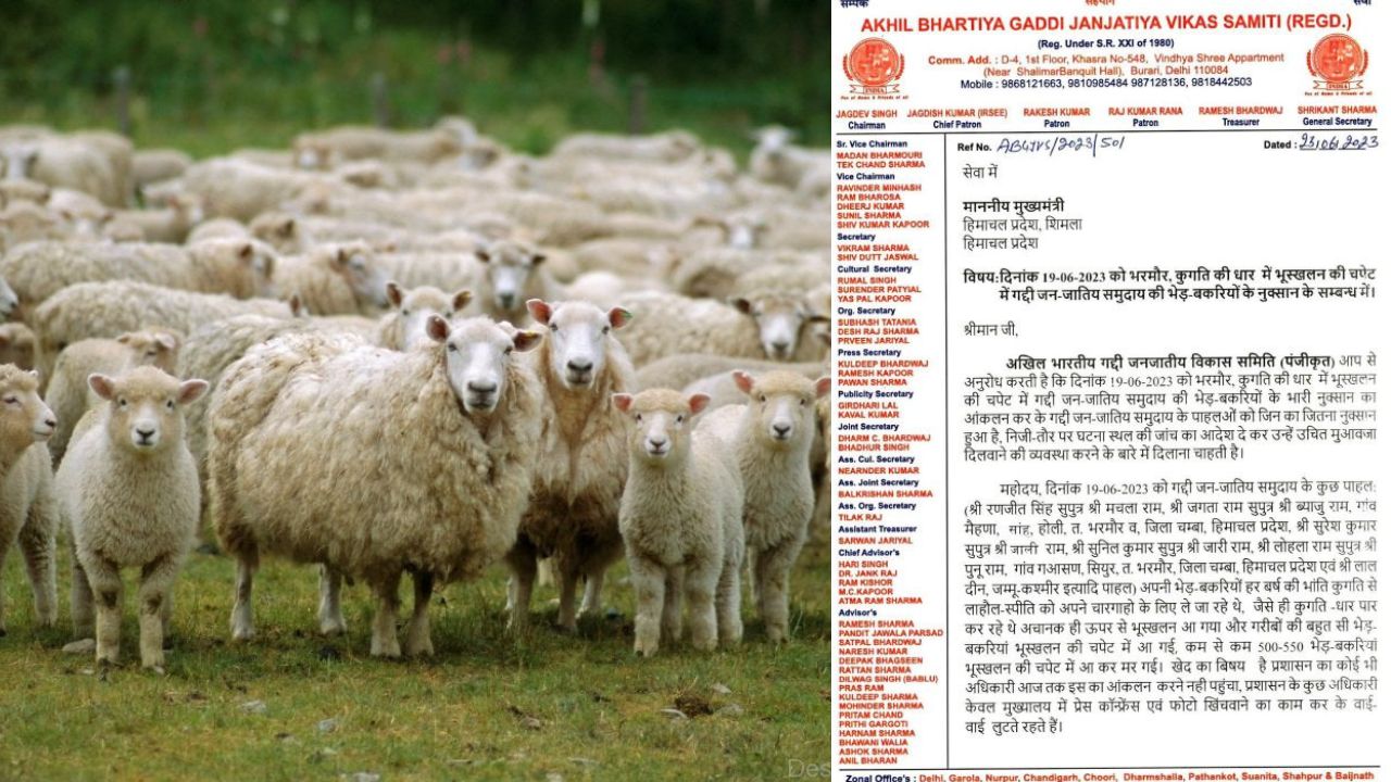ग्लेशियर की च*पेट में आई बकरियां, मुआवज़े की मांग