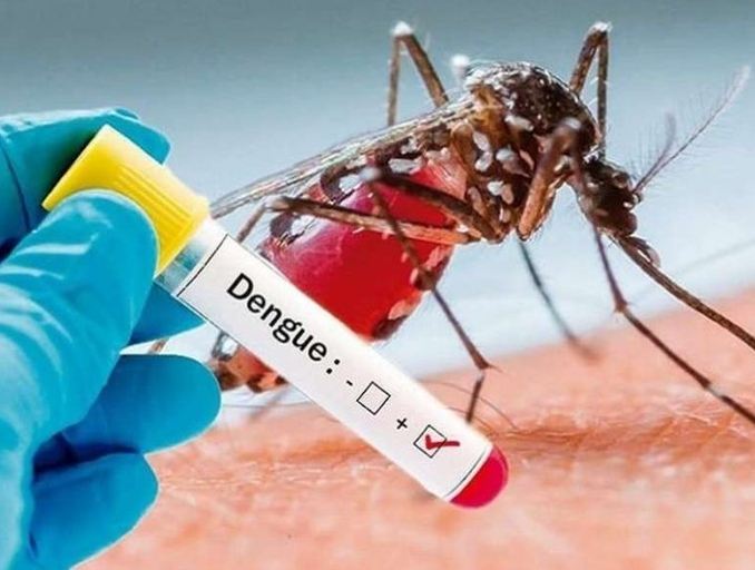 dengue in delhi