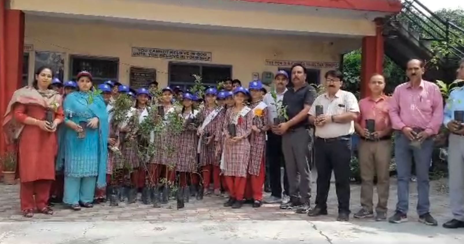 tree plantation in bhawai school