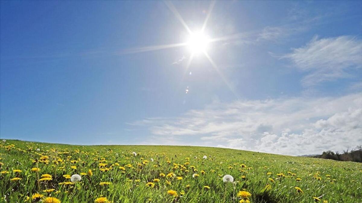 आगामी चार दिनों में भारी बरसात से मिलेगी राहत, 21 के बाद फिर सक्रिय होगा मॉनसून