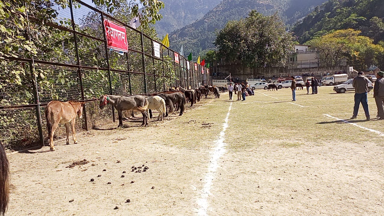 अश्व प्रदर्शनी