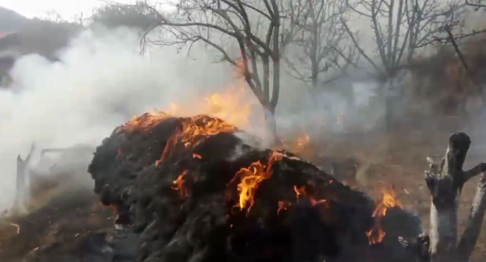 भरमौर की ग्राम पंचायत बडग्रां में पशुओं के चारे में लगी आ*ग