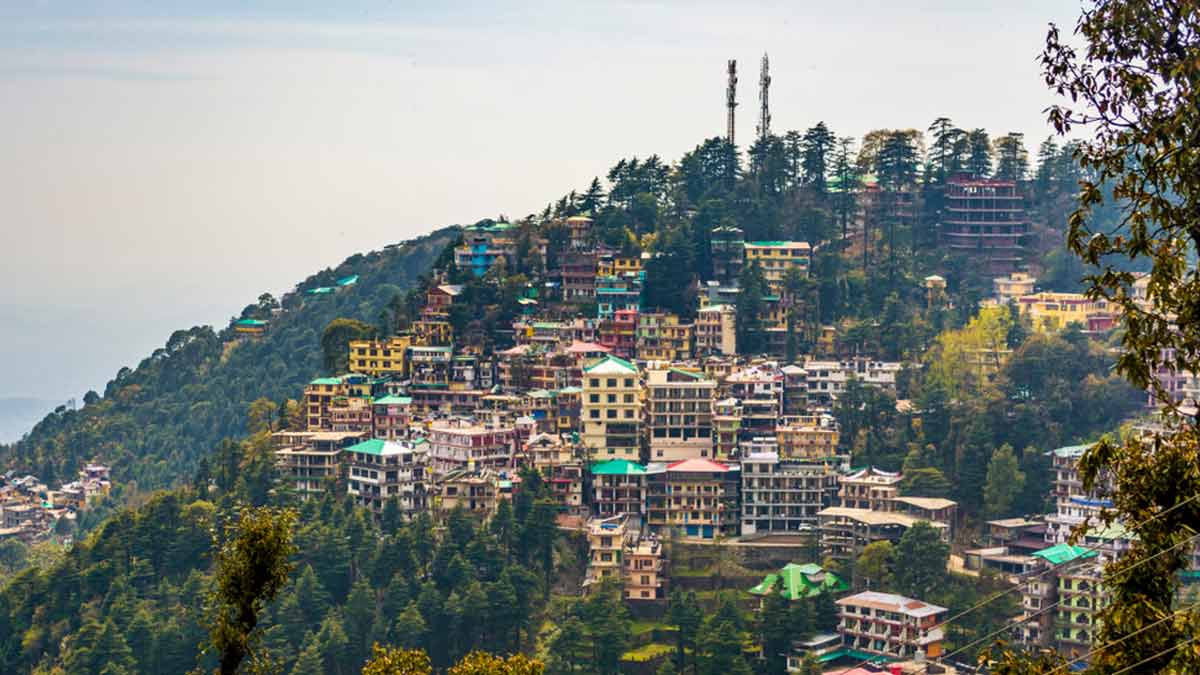 न्यू ईयर पर प्रदेश सहित धर्मशाला में पर्यटकों की आमद में होगी बढ़ोतरी