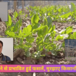 किसानों के चेहरे मुरझाए