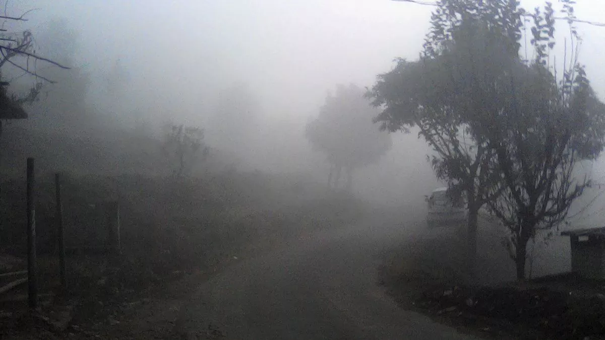हिमाचल में कोल्ड वेव से गिरेगा तापमान, चंडीगढ़ में 7 फ्लाइट कैंसिल, यहाँ होगी बारिश...