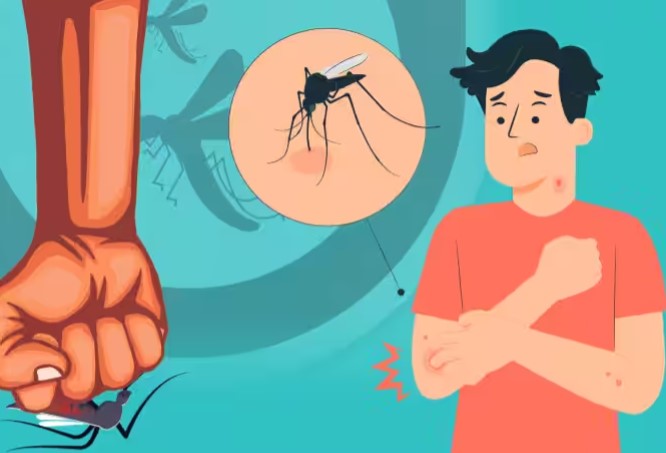 बरसात की शुरुआत में ही,अस्पताल में डेंगू के 9 मामले