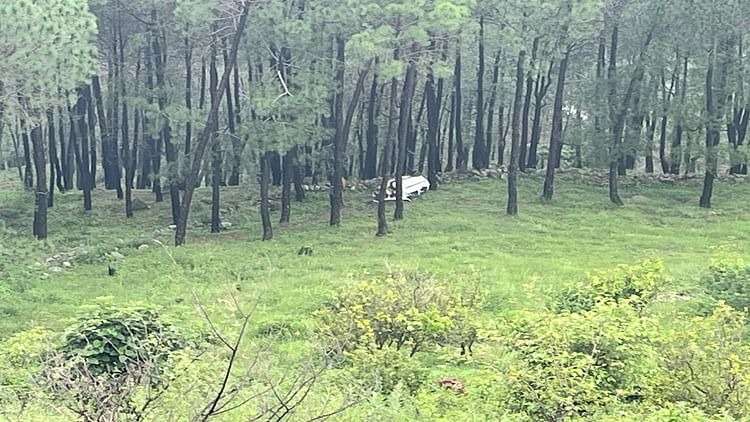 पधर-घोघरधार सड़क पर कार दुर्घटनाग्रस्त, एक की मौ..त
