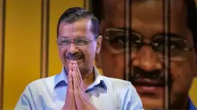 दिल्ली के मुख्यमंत्री अरविंद केजरीवाल को जमानत