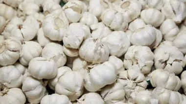 Onion के बाद अब लहसुन ने तोड़ा Record