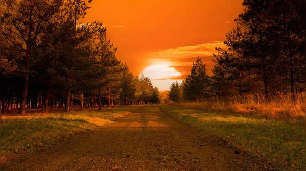 7 things one should not do after sunset as per traditional wisdom