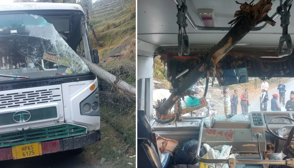 मंडी में बड़ा हादसा: चलती HRTC बस पर गिरा पेड़, 40 सवारियां बाल-बाल बचीं!