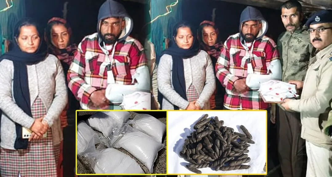 नूरपुर, कांगड़ा (Kangra) हिमाचल प्रदेश में नशे का कारोबार तेजी से बढ़ रहा है और अब यह सिर्फ कानून-व्यवस्था का मुद्दा नहीं, बल्कि सामाजिक ताने-बाने को तोड़ने वाला गंभीर खतरा बन चुका है। हालात इतने गंभीर हैं कि पुरुषों के साथ-साथ महिलाएं भी इस अवैध धंधे में सक्रिय रूप से शामिल हैं।